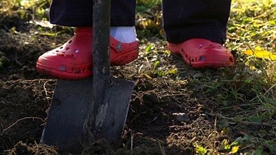 Rytí či jáma vykopaná „na rýč“ budou hluboké 25 až 30 cm