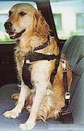 Bezpečnostní pásy pro psa do auta