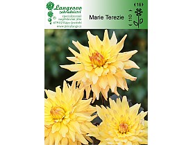 Jiřina Marie Terezie