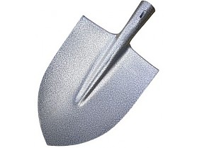 Rýč špičatý