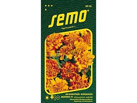 9519 Aksamitník rozkladitý BONANZA BOLERO F1.jpg