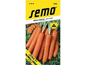 2262_mrkev JITKA F1