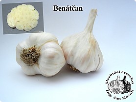 benatcan