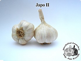japoii