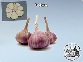 vekan