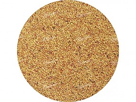 Vojtěška setá MORAVA C 1- 500 g