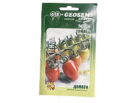 GEOSEM Milla tomato_1