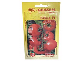 GEOSEM Balkan F1 tomato_1