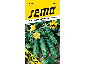 Okurka setá nakládačka Chantal F1 hybrid, hruboostná 2g