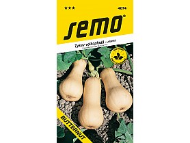 Tykev muškátová Butternut _ plazivá 2g