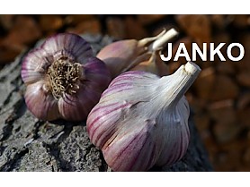 JANKO