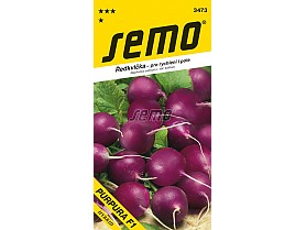 PURPURA