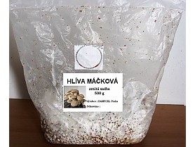 Sadba Hlíva máčková královská cca 0,5 kg