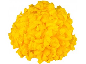 chryzantema