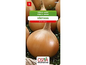 cibule Všetana