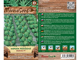 Kapusta růžičková Dolores