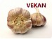 VEKAN