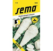 Krmná řepa výsev Krmná řepa výsev