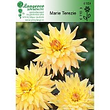 Jiřina Marie Terezie 1 hlíza