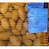 Sadbové brambory EXEMPLA rané  10kg
