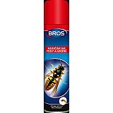 Mrkev pozdní pěstování Mrkev pozdní pěstování