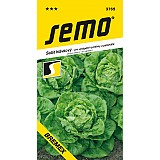 Salát hlávkový BREMEX vytápěné rychlírny