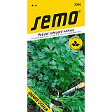 Petržel naťová GIGANTE  ITALIA 