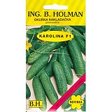 Okurka nakladačka Holman Karolina jemnoostná F1 2,5g