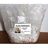 Sadba Hlíva máčková královská cca 0,5 kg