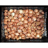 ProfiPool PH plus 1kg