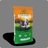 Energys Brojler Midi Forte 25KG