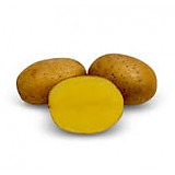 Sadbové brambory OSCAR polorané 25kg