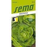 Salát Maršálus hlávkový vysoké teploty